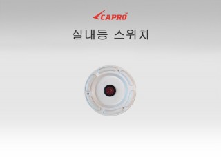 실내등 스위치