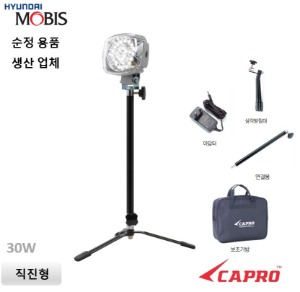 5/30W 투광등